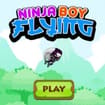 Ninja Boy Flying