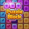 Puzzle block
